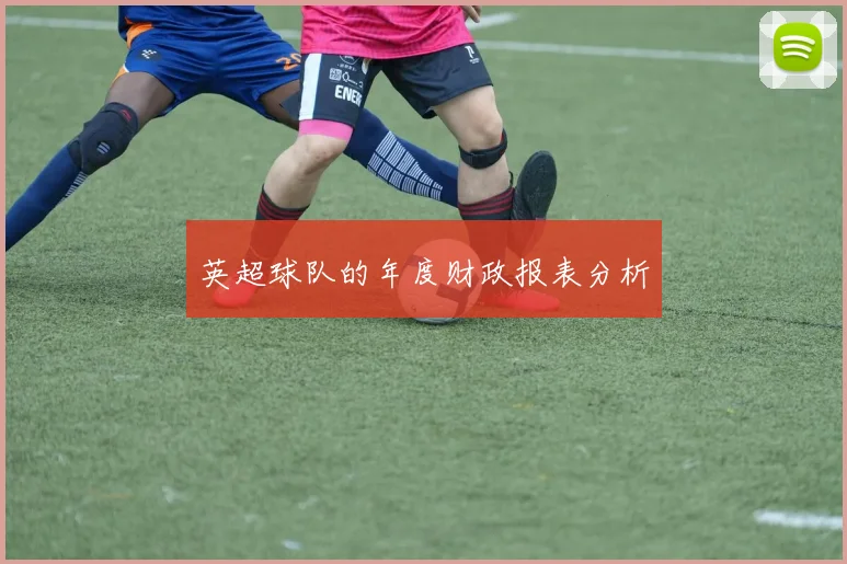 英超球队的年度财政报表分析