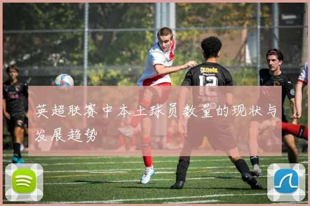英超联赛中本土球员数量的现状与发展趋势