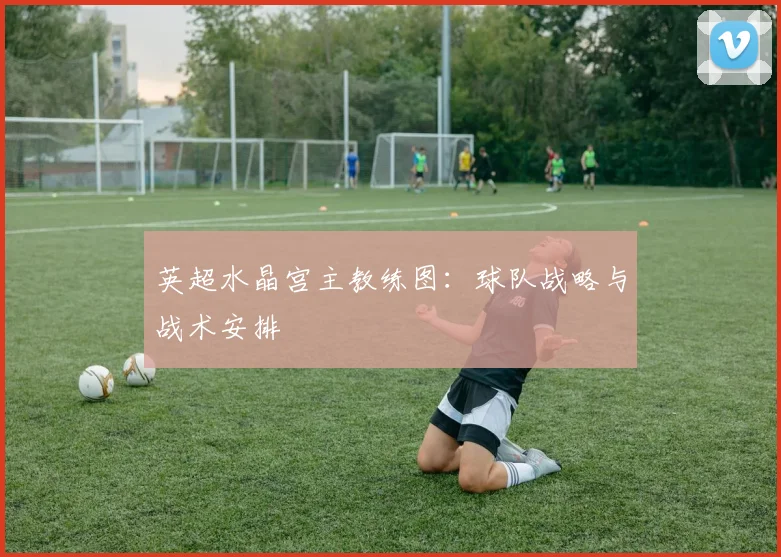 英超水晶宫主教练图：球队战略与战术安排