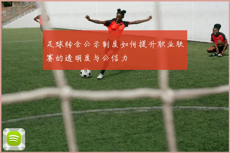 足球转会公示制度如何提升职业联赛的透明度与公信力