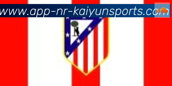 开云APP合作伙伴
